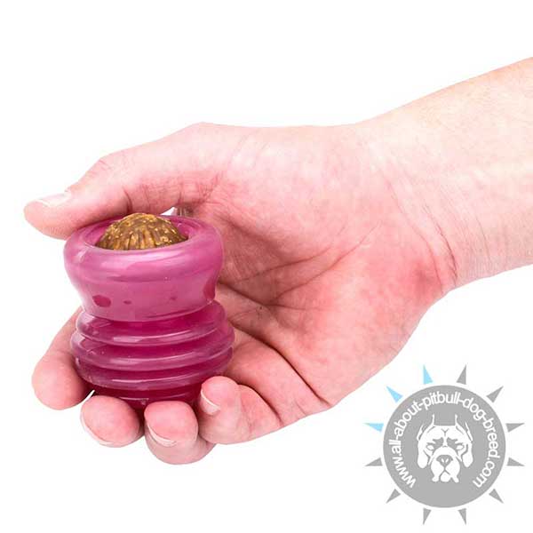 Pitbull Treat and Kibble Holder of Small Size