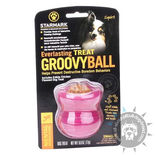 Rubber Treat Holder for Mental Stimulation