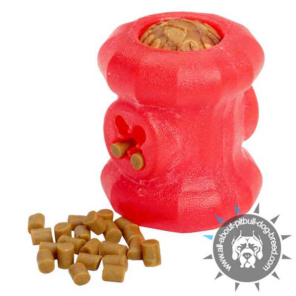 Rubber Chewing Toy for Treat Holding