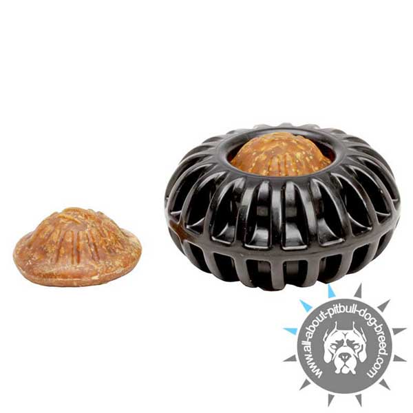 Imperishable Treat Dispenser Chew Toy