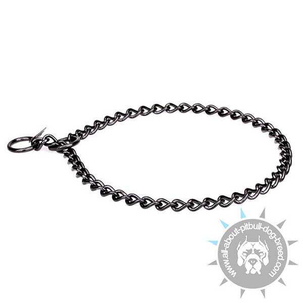 Pitbull HS Pinch Collar for Behavior Correction