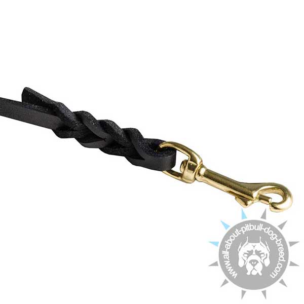 Brass Snap Hook on Leather Leash