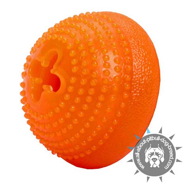 Rubber Pitbull Chew  Treat Toy