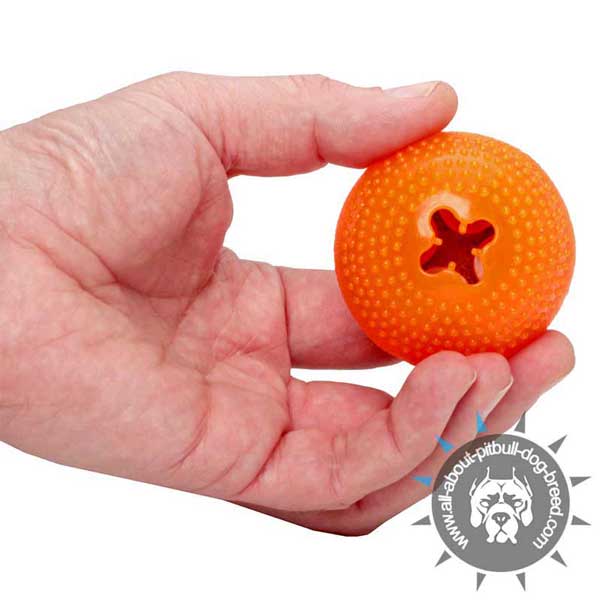 Rubber Chew Toy for Treat Dispensing