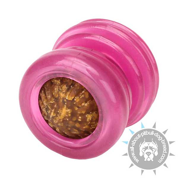 Pitbull Rubber Chew Toy -  Treat Holder