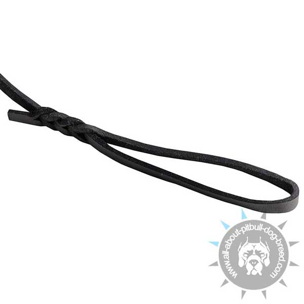 Leather Pitbull Leash with Comfy Handle