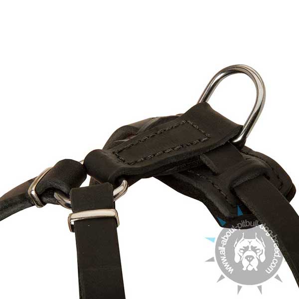 Puppy Leather Harness with Strong D-ring