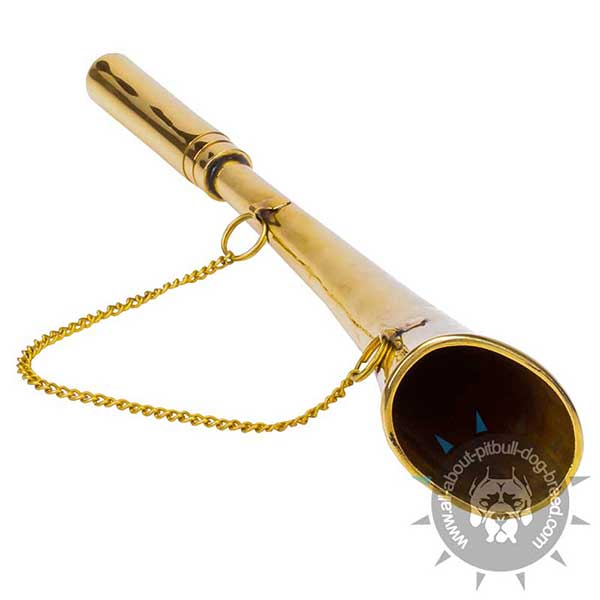 Brass Sounding Training Horn