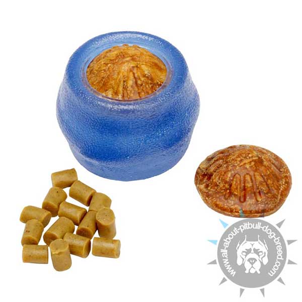 Pitbull Treat Holder of Safe Rubber