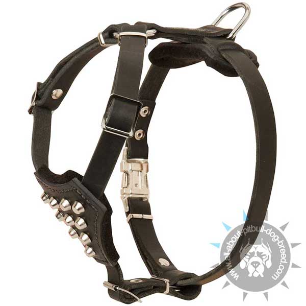 Puppy Pitbull Leather Studded Harness