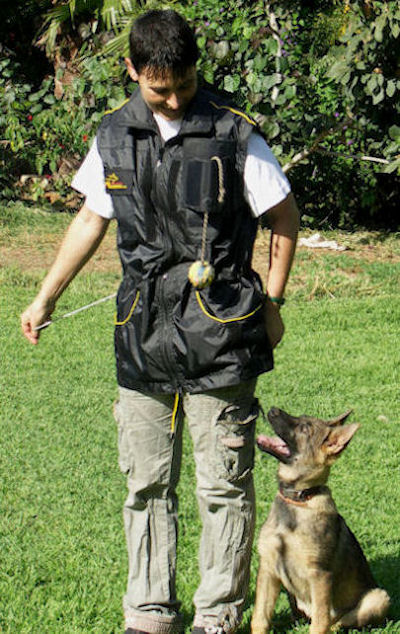 High Quality Nylon Vest for Dog Training