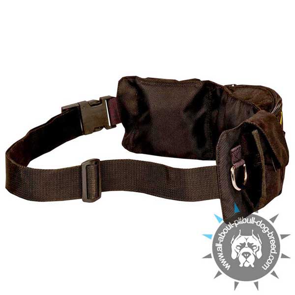 Adjustable Nylon Dog Pouch for Treats