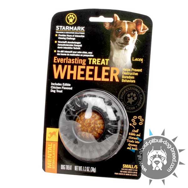 Encouraging Treat Dispenser Chew Toy