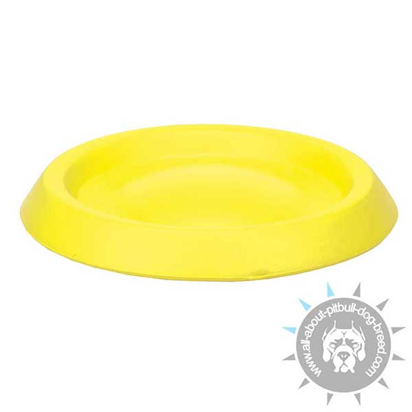 Ultra Bright Yellow Unsinkable DuraFoam Disc