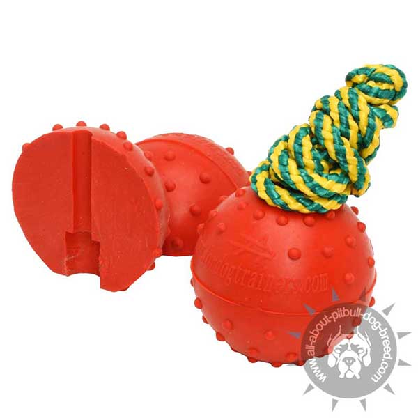 Dotted Rubber Dog Ball