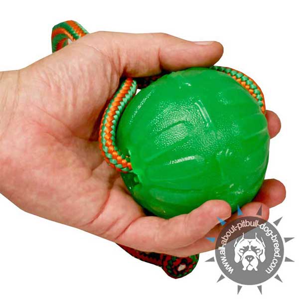 Durable Foam Pitbull Toy for Water Games