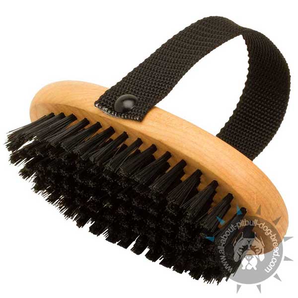 Pitbull Bristle Brush of Eco-friendly Materials