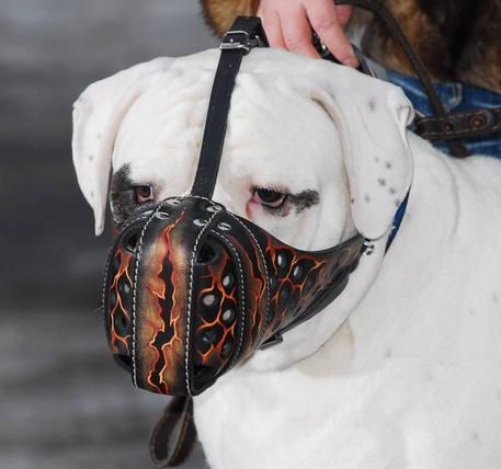 Extra Strong Riveted Leather Dog Muzzle 