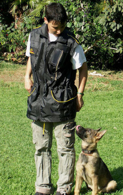 Professional Nylon Vest for Dog Training