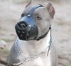 Pitbull Dog Muzzles