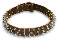 Spiked Brown collar 26'' for PITBULL /26 inch dog collar - S44