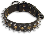 PITBULL Studded&Spikes Black collar 23'' /23 inch dog collar-S55