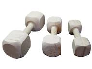 Training Dog DUMBBELL