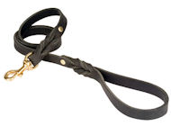 Looking for PETCO Twisted Leather Lead for Pitbull?