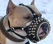 Royal Spiked Leather Dog Muzzle - American Pitbull Royal Spiked Leather Dog Muzzle - American Pitbull