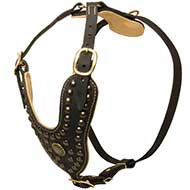 Brass Studded Dog Harness - Studded Leather Dog Harness for Pitbul